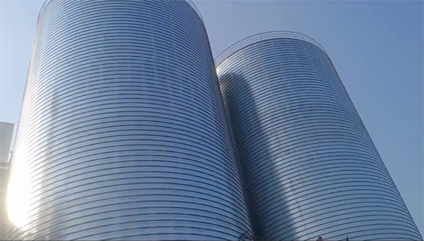 福鼎2座混凝土高架卷板仓